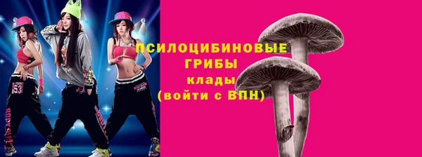 гашик Алзамай