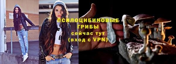 гашик Алзамай