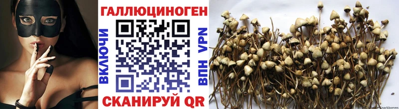 Галлюциногенные грибы MAGIC MUSHROOMS Красноуральск
